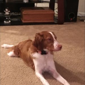 Meet your Posher, Rhonda